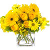 This monochromatic arrangement can make anybody feel a little more cheerful. Lemonade