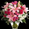 Sure to make them blush! Spoil them on a special day, or