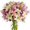 Put your love into the season&#039;s most romantic flowers - light pink