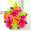 Captivate their senses with our beautiful vibrant blooms. We&#039;ve gathered a colorful