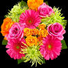 Captivate their senses with our beautiful vibrant blooms. We&#039;ve gathered a colorful
