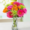Captivate their senses with our beautiful vibrant blooms. We&#039;ve gathered a colorful