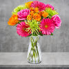 Captivate their senses with our beautiful vibrant blooms. We&#039;ve gathered a colorful