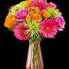 Captivate their senses with our beautiful vibrant blooms. We&#039;ve gathered a colorful