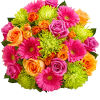Captivate their senses with our beautiful vibrant blooms. We&#039;ve gathered a colorful