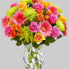 Captivate their senses with our beautiful vibrant blooms. We&#039;ve gathered a colorful