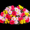 Here&rsquo;s to the most cheerful season of the year! Our vibrant gathering