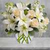 Breathtaking! Blooms of bright white and cream are rich with texture and