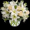 Breathtaking! Blooms of bright white and cream are rich with texture and