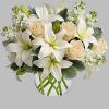 Breathtaking! Blooms of bright white and cream are rich with texture and