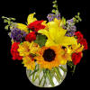 Beautiful and vibrant colors of alstroemeria, larkspur, spray roses, carnations, sunflowers, and