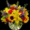 Beautiful and vibrant colors of alstroemeria, larkspur, spray roses, carnations, sunflowers, and