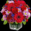 Rich jewel-toned flowers are arranged in a glass cube vase for a