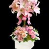 Send this blushing beauty of perfectly pink lilies, light pink roses and