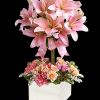 Send this blushing beauty of perfectly pink lilies, light pink roses and