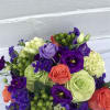 Cube compact bright arrangement with purple green and orange 
