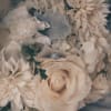 Beautiful white garden and standard roses, dahlia, freesia and yellow tulips and