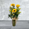 Our perfect bundle of sunshine for any sunflower lover !
