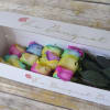 Add continuous bursts of fun with these rainbow colored roses. All bouquets