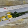 Spread joy all around with this blend of yellow and white roses.