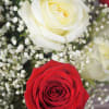 This combination is the perfect symbol of unending affection and devotion. All