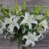 Share the wonder as these stunning white lilies continue to blossom, one