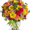 Make someone&#039;s day come true with this extra-special, premium version of our