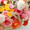 Fall Rainbow is our newest arrangement from our Luxury Collection, happy and