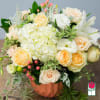 The Beretania Florist Elizabeth Compact Bouquet - Special Advanced Order Required
Approx. 14H
