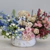 The pink and blue arrangement is composed of a beautiful mix of