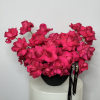 The modern style arrangement in the black vase is an exquisite display