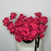 The modern style arrangement in the black vase is an exquisite display
