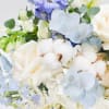Take a dip into a towering display of blue delphinium and white