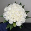 A modern twist on an elegant classic, beautiful white roses are arranged