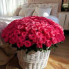 Vibrant hot pink gracefully arranged in a basket. Our breathtaking flowers, carefully