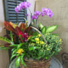 Send a beautiful combination of blooming and green plants for any occasion!