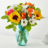 Feel the warmth radiating from these colorful stems, sure to put a