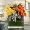 A creative arrangement of papaya-orange Tulips, sunshine-yellow and white Roses, Dusty Miller