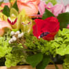 A dazzling display of hot-pink Roses, plum-purple Lisianthus, Proteas, Kermit-green Orchids amid