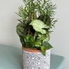 These beautiful and whimsical arrangements bring warm tones to any room. Add