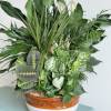 These beautiful and whimsical arrangements bring warm tones to any room. Add