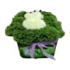 This delightful arrangement features a charming glass cube filled with vibrant greenery