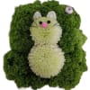 This delightful arrangement features a charming glass cube filled with vibrant greenery