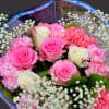 Nice mix of pink and white roses, and pink and hot pink
