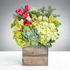 You&rsquo;re going home for the holidays, shouldn&rsquo;t your flowers get the same