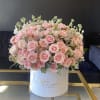 This beauty designed with the most soft color of roses in a