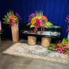 A vibrant array of colors designed to evoke a feeling of liveliness.