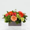 This low profile, vibrant arrangement adds cheer to any space. 