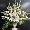 Gladiolas Snaps Luspur Roses Lilis, Italian Ruscus