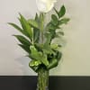 Peace and kindness shine with these beautiful white roses arranged in a
